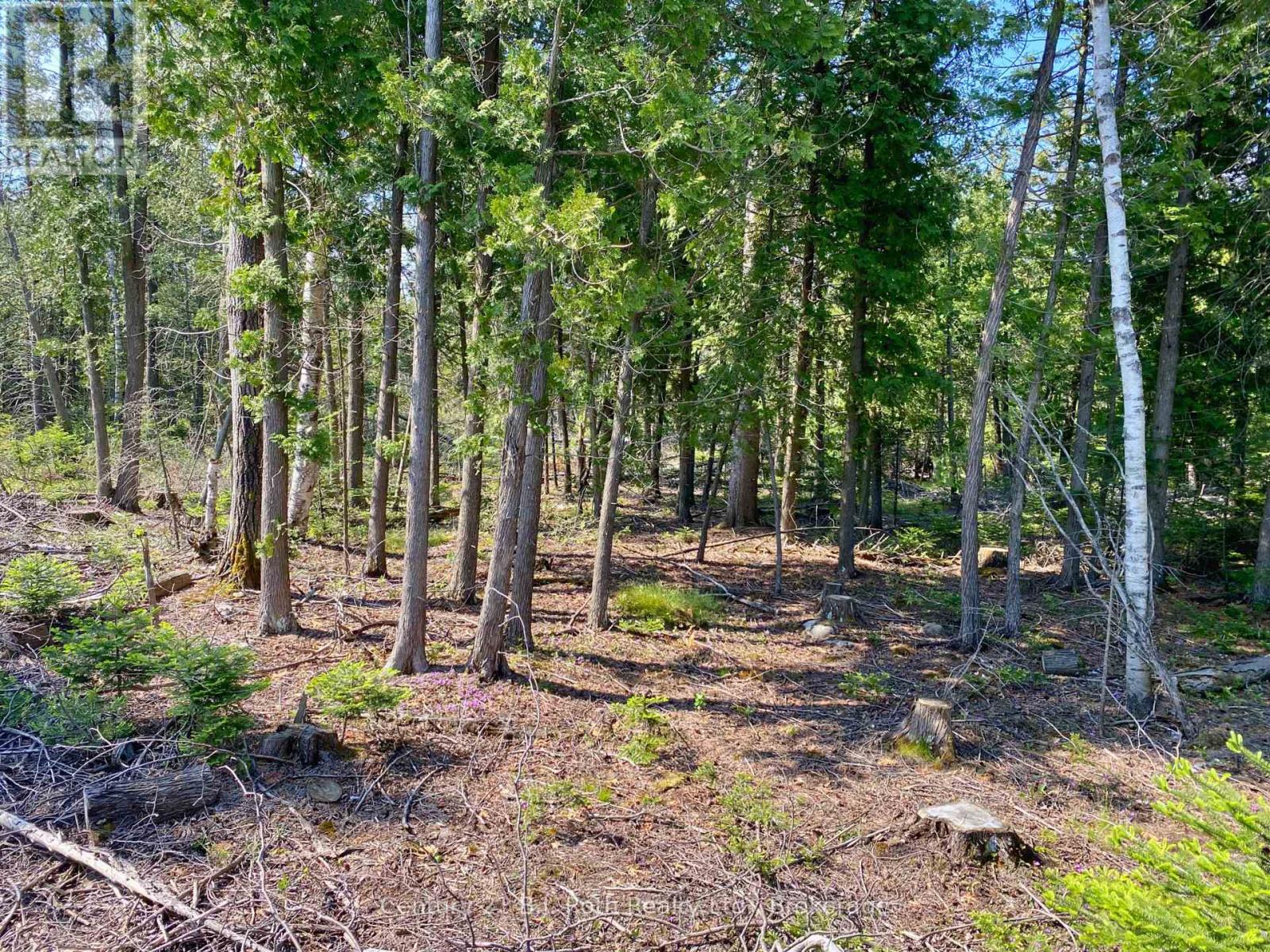 155 Bradley Drive, Northern Bruce Peninsula, Ontario N0H 1Z0 - Photo 14 - X12724662