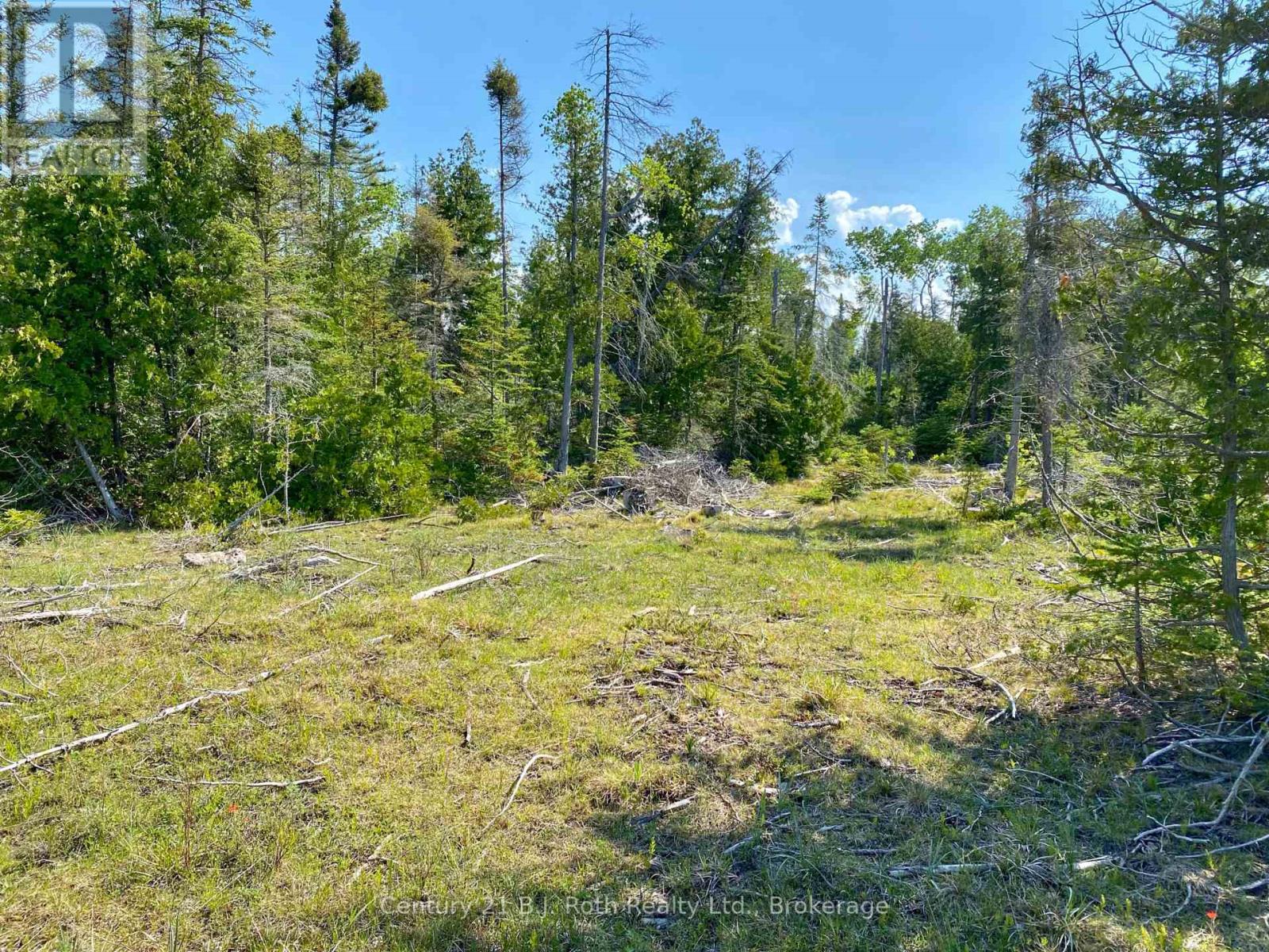 155 Bradley Drive, Northern Bruce Peninsula, Ontario N0H 1Z0 - Photo 15 - X12724662