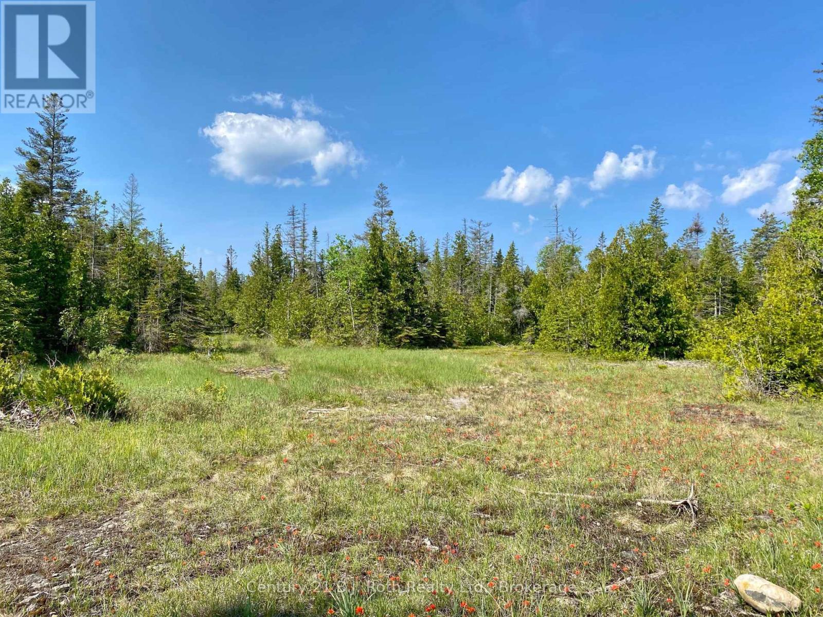 155 Bradley Drive, Northern Bruce Peninsula, Ontario N0H 1Z0 - Photo 16 - X12724662