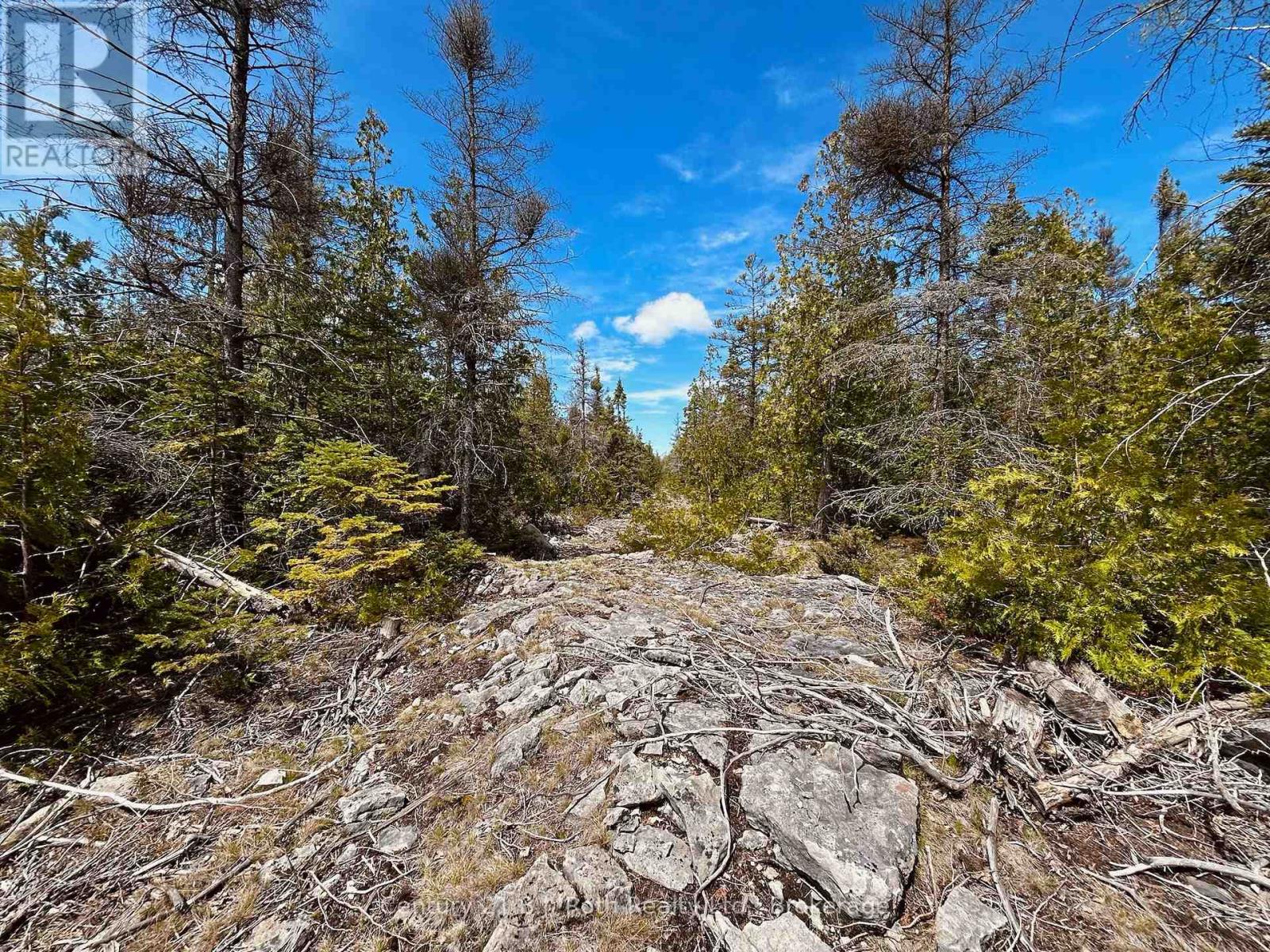 155 Bradley Drive, Northern Bruce Peninsula, Ontario N0H 1Z0 - Photo 5 - X12724662