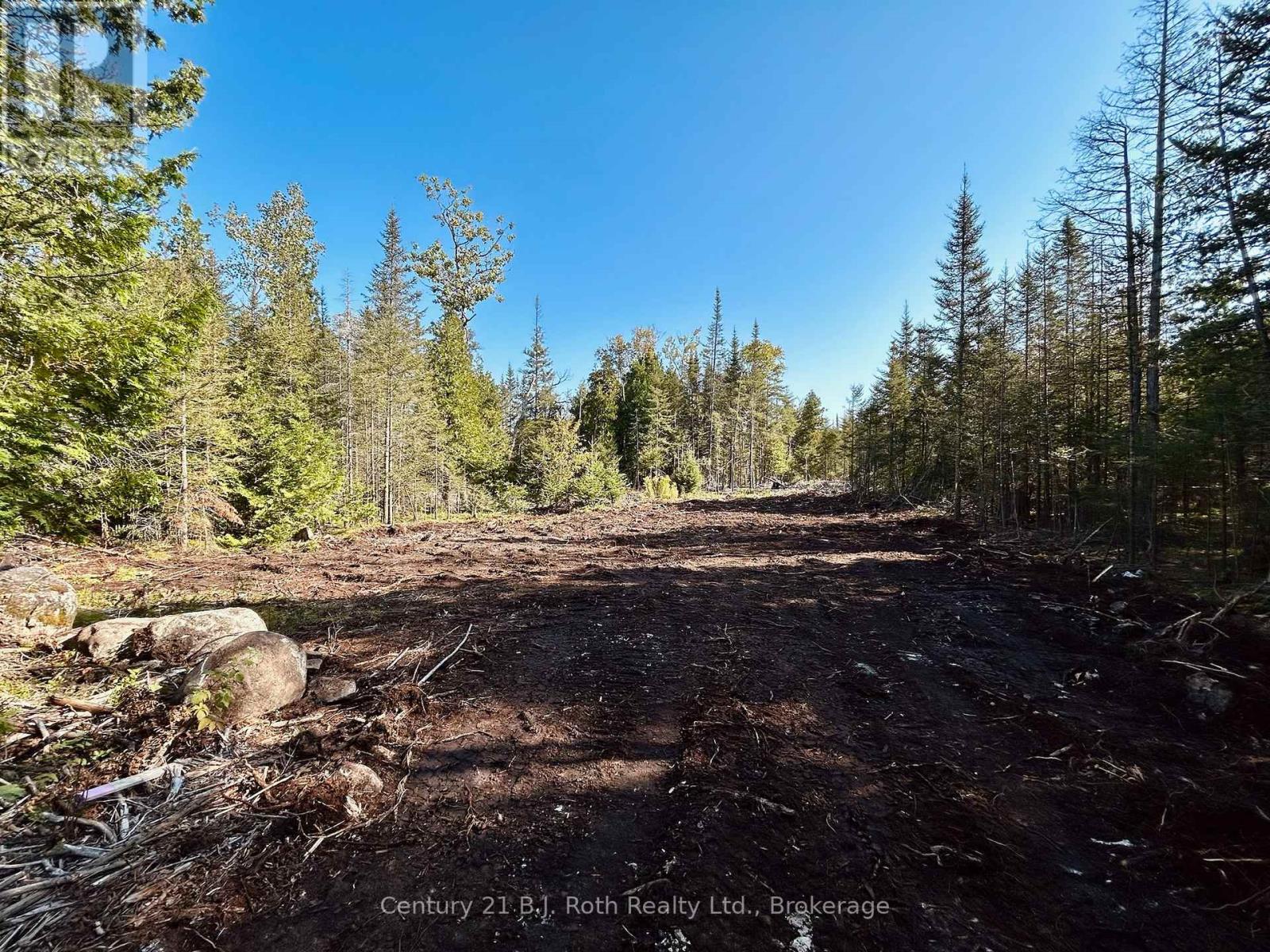 155 Bradley Drive, Northern Bruce Peninsula, Ontario N0H 1Z0 - Photo 7 - X12724662