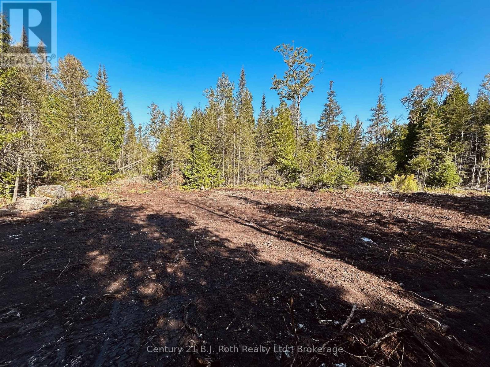 155 Bradley Drive, Northern Bruce Peninsula, Ontario N0H 1Z0 - Photo 8 - X12724662