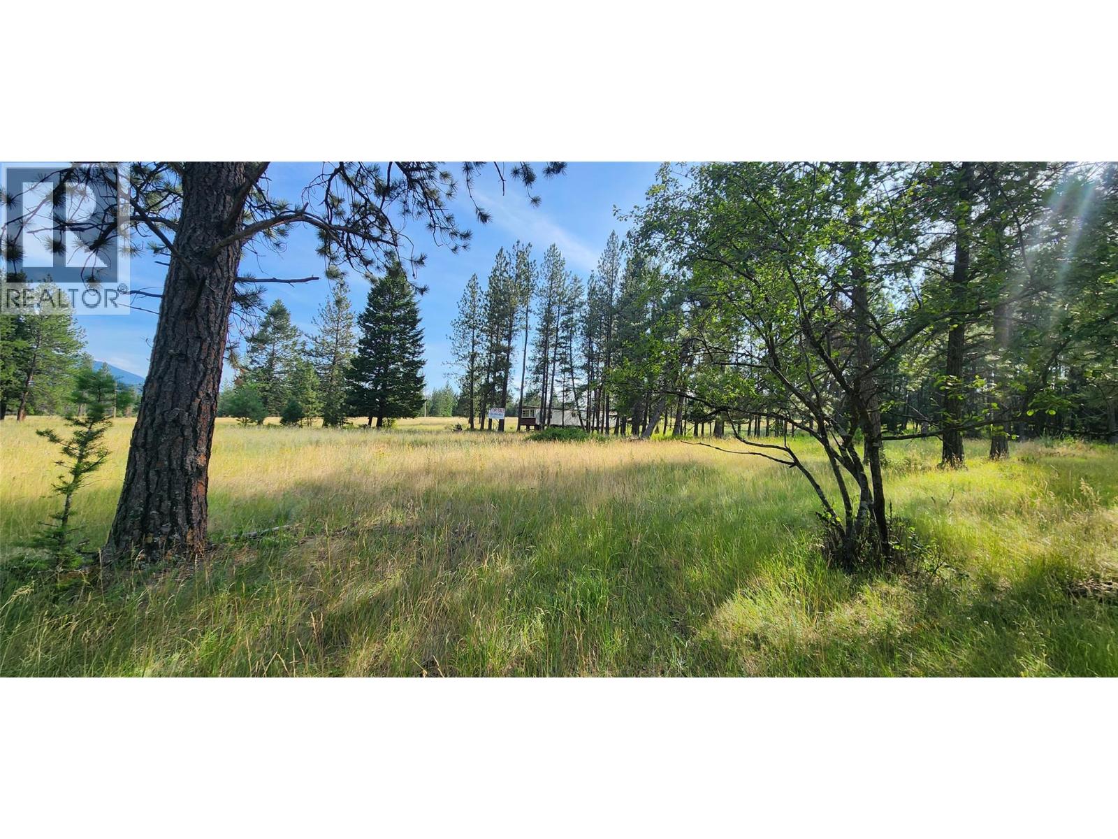 Letcher Street Lot# Parcel A, Elko, British Columbia  V0B 1T3 - Photo 9 - 10373608