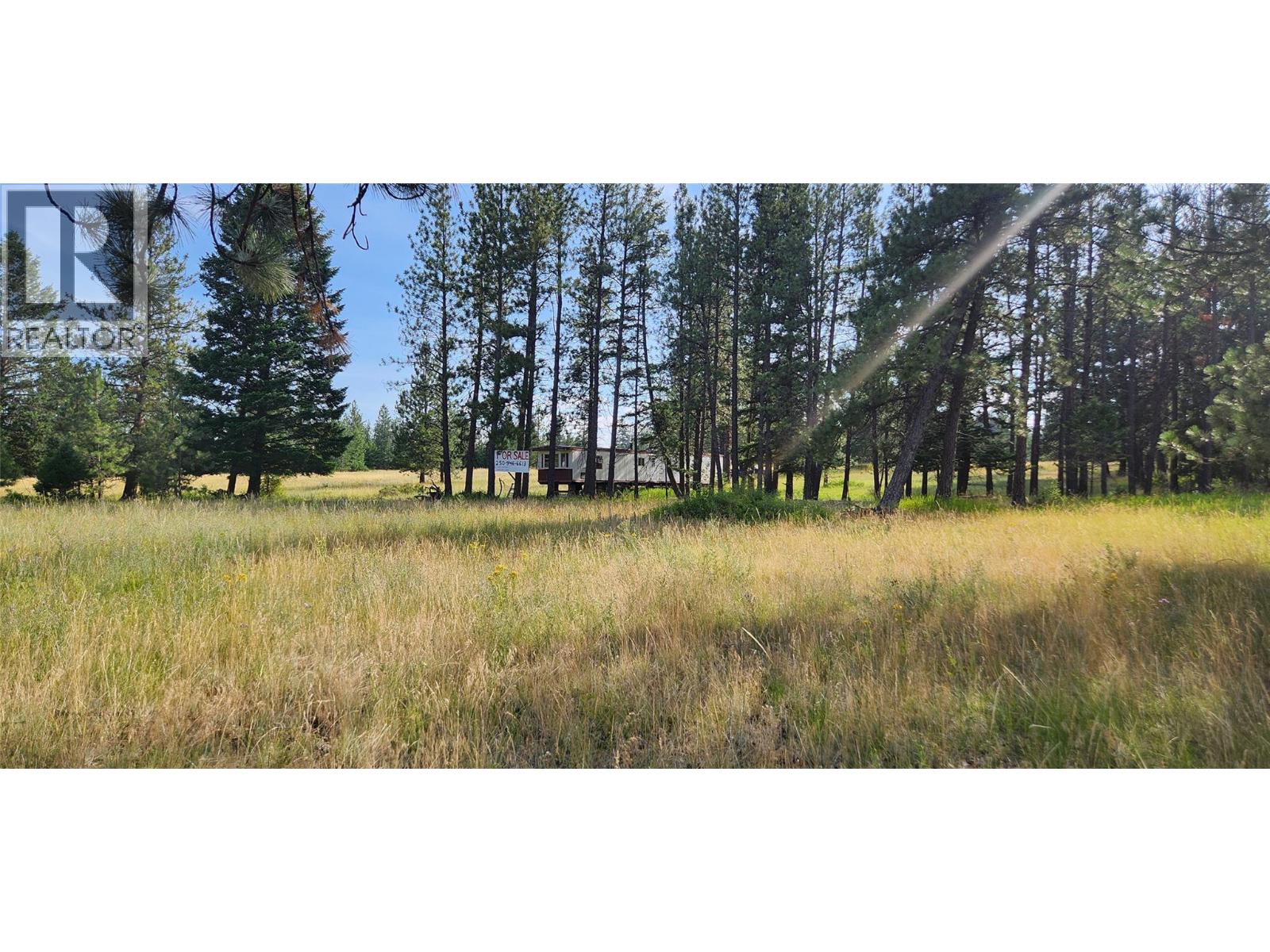 Letcher Street Lot# Parcel A, Elko, British Columbia  V0B 1T3 - Photo 6 - 10373608