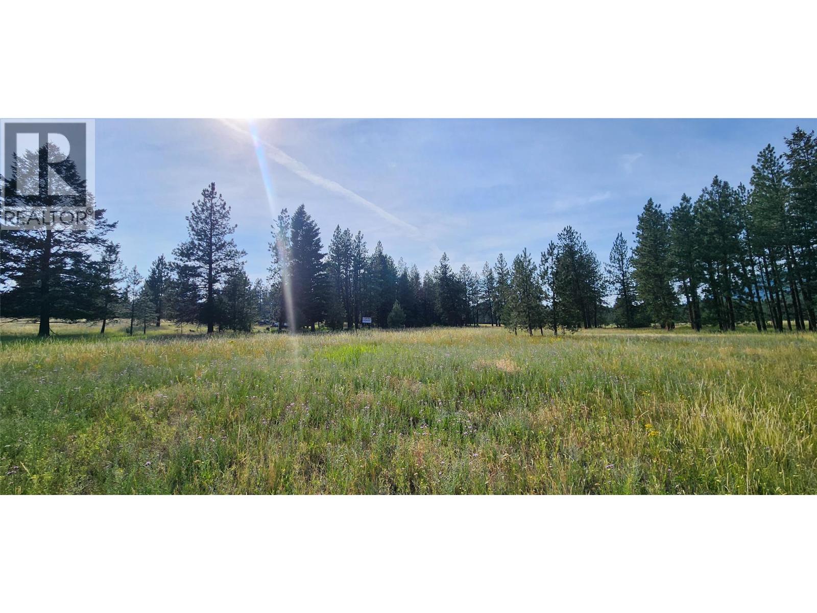 Letcher Street Lot# Parcel A, Elko, British Columbia  V0B 1T3 - Photo 3 - 10373608