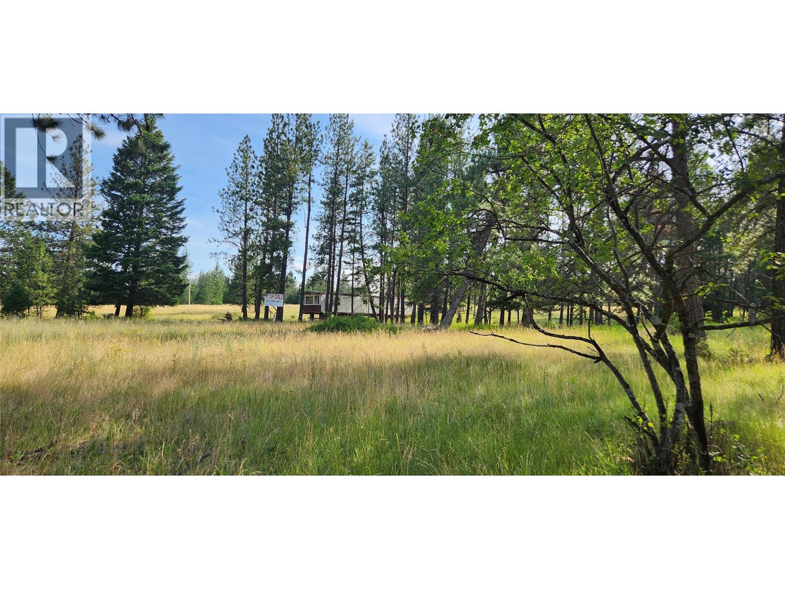 Letcher Street Lot# Parcel A, Elko, British Columbia  V0B 1T3 - Photo 11 - 10373608