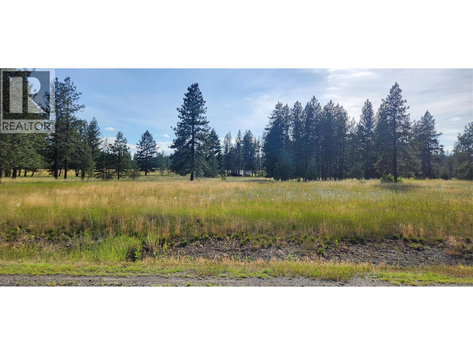 Letcher Street Lot# Parcel A, Elko, British Columbia  V0B 1T3 - Photo 18 - 10373608