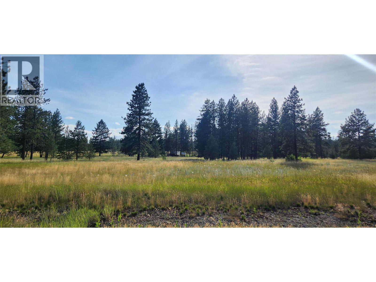 Letcher Street Lot# Parcel A, Elko, British Columbia  V0B 1T3 - Photo 19 - 10373608