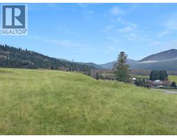 Lot 3 Thomet Avenue, midway, British Columbia