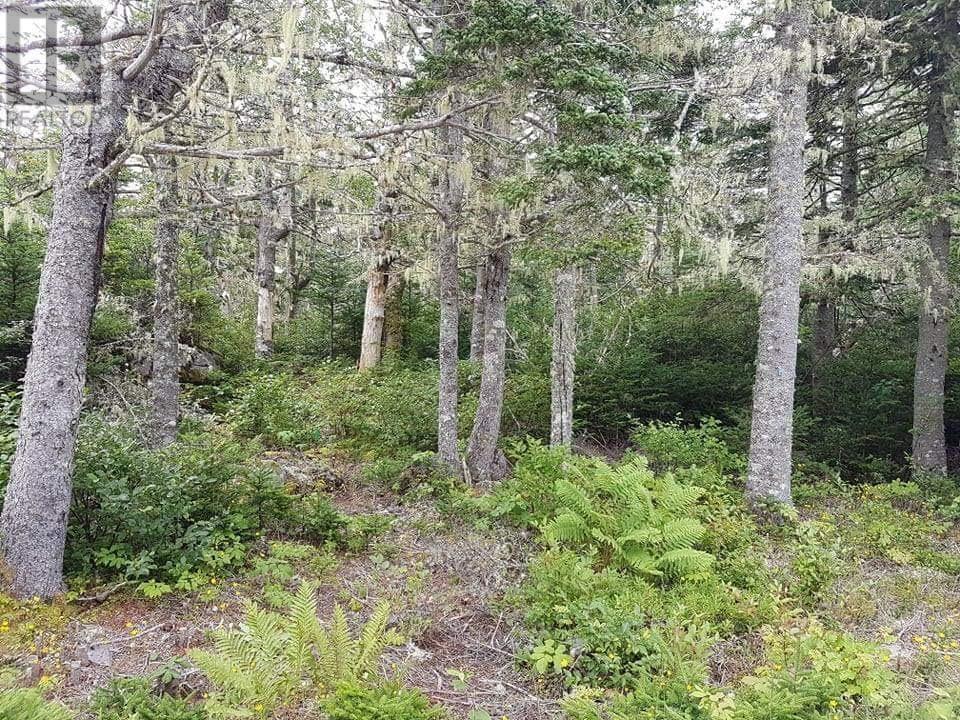 Lot 11 Everetts Way, Hunts Point, Nova Scotia  B0T 1G0 - Photo 7 - 202601414