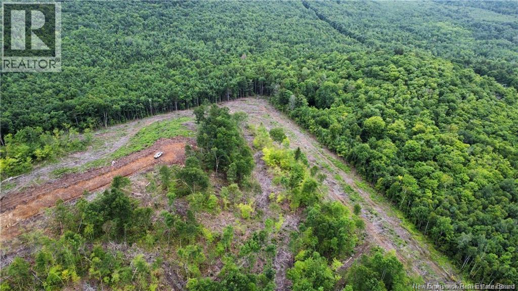 Lot 14 Crabbe Mountain, Central Hainesville, New Brunswick  E6E 1E3 - Photo 10 - NB132627