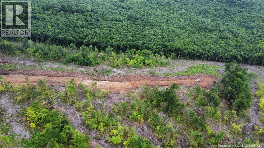 Lot 14 Crabbe Mountain, Central Hainesville, New Brunswick  E6E 1E3 - Photo 12 - NB132627