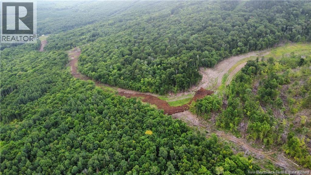 Lot 14 Crabbe Mountain, Central Hainesville, New Brunswick  E6E 1E3 - Photo 7 - NB132627