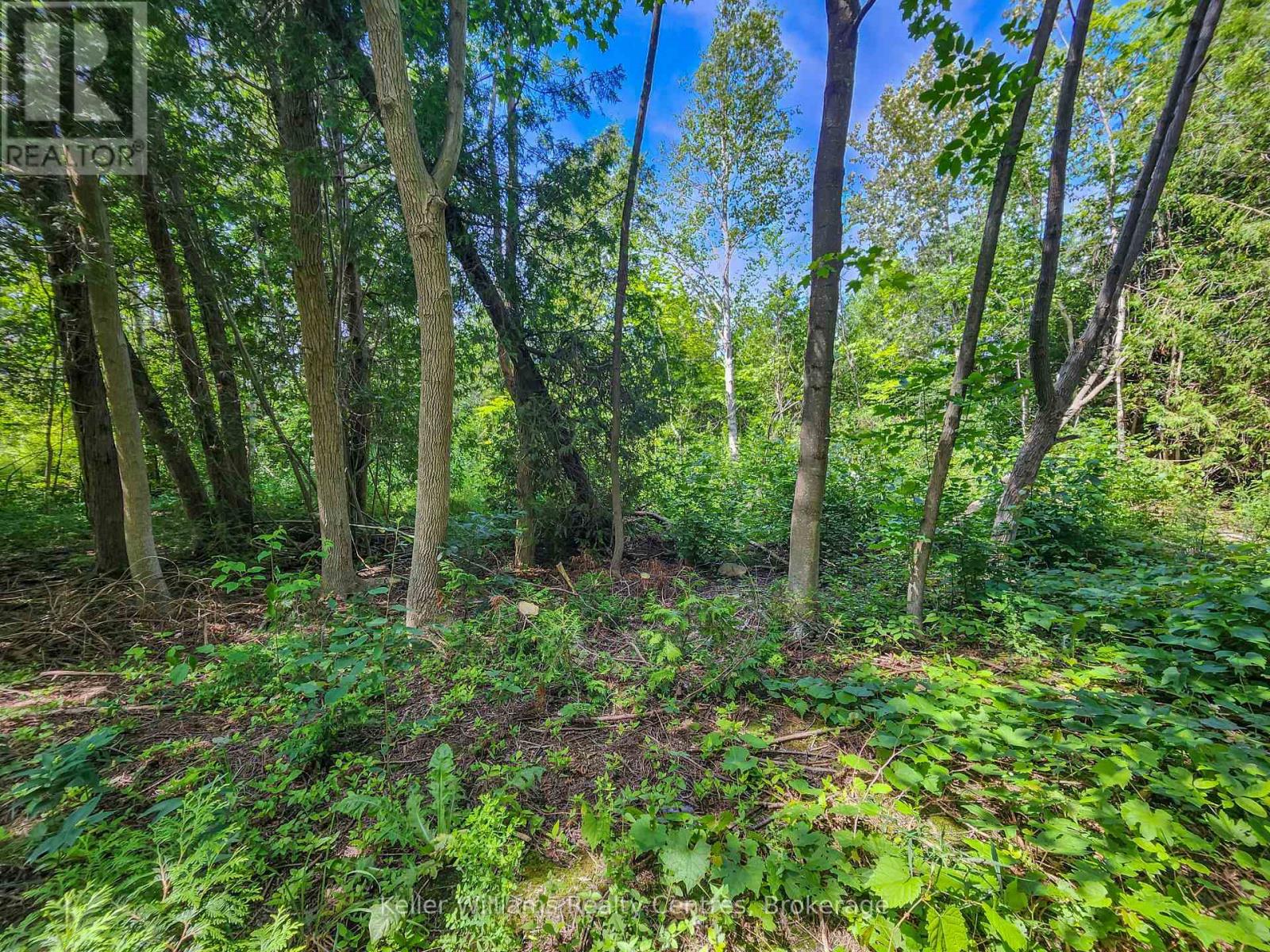 151 Mallard Street, Georgian Bluffs, Ontario  N0H 2T0 - Photo 3 - X12724796