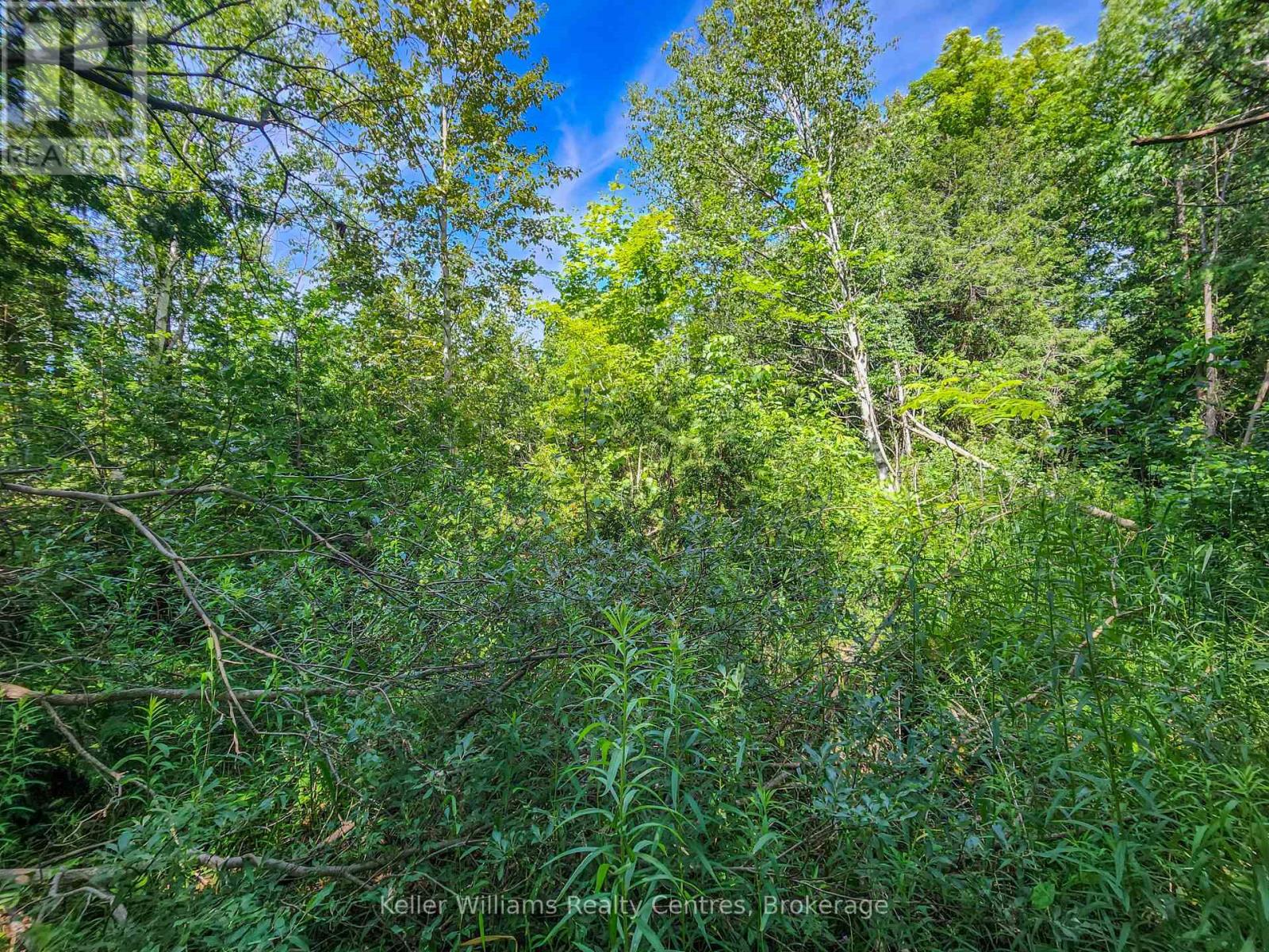 151 Mallard Street, Georgian Bluffs, Ontario  N0H 2T0 - Photo 6 - X12724796