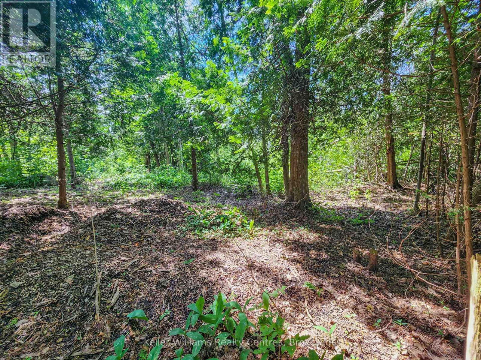 151 Mallard Street, Georgian Bluffs, Ontario  N0H 2T0 - Photo 8 - X12724796