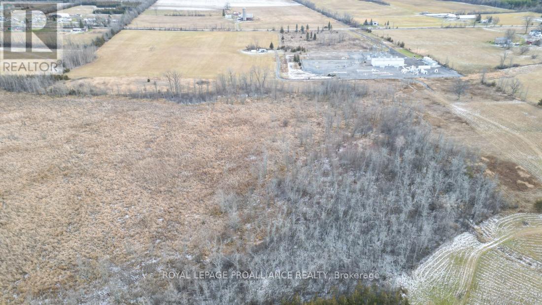 699 Lazier Road, Tyendinaga, Ontario  K0K 3A0 - Photo 10 - X12724782