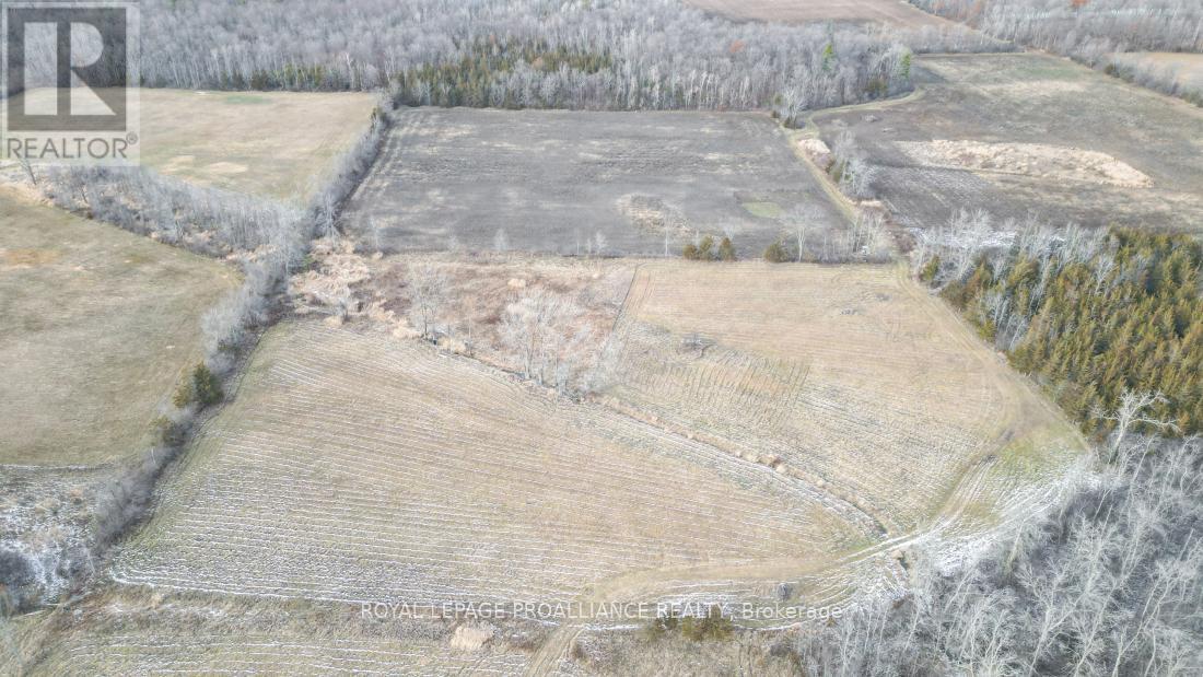 699 Lazier Road, Tyendinaga, Ontario  K0K 3A0 - Photo 11 - X12724782