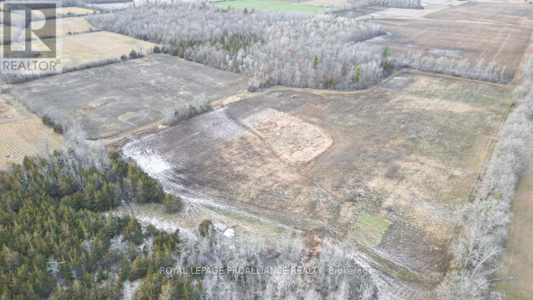 699 Lazier Road, Tyendinaga, Ontario  K0K 3A0 - Photo 13 - X12724782