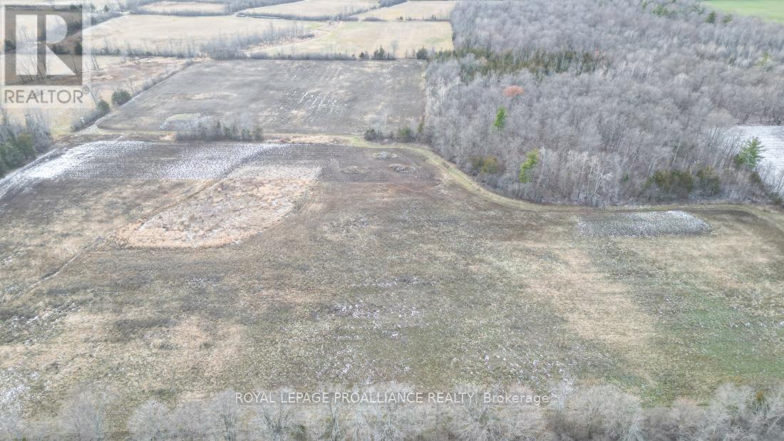 699 Lazier Road, Tyendinaga, Ontario  K0K 3A0 - Photo 14 - X12724782