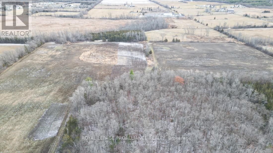 699 Lazier Road, Tyendinaga, Ontario  K0K 3A0 - Photo 16 - X12724782