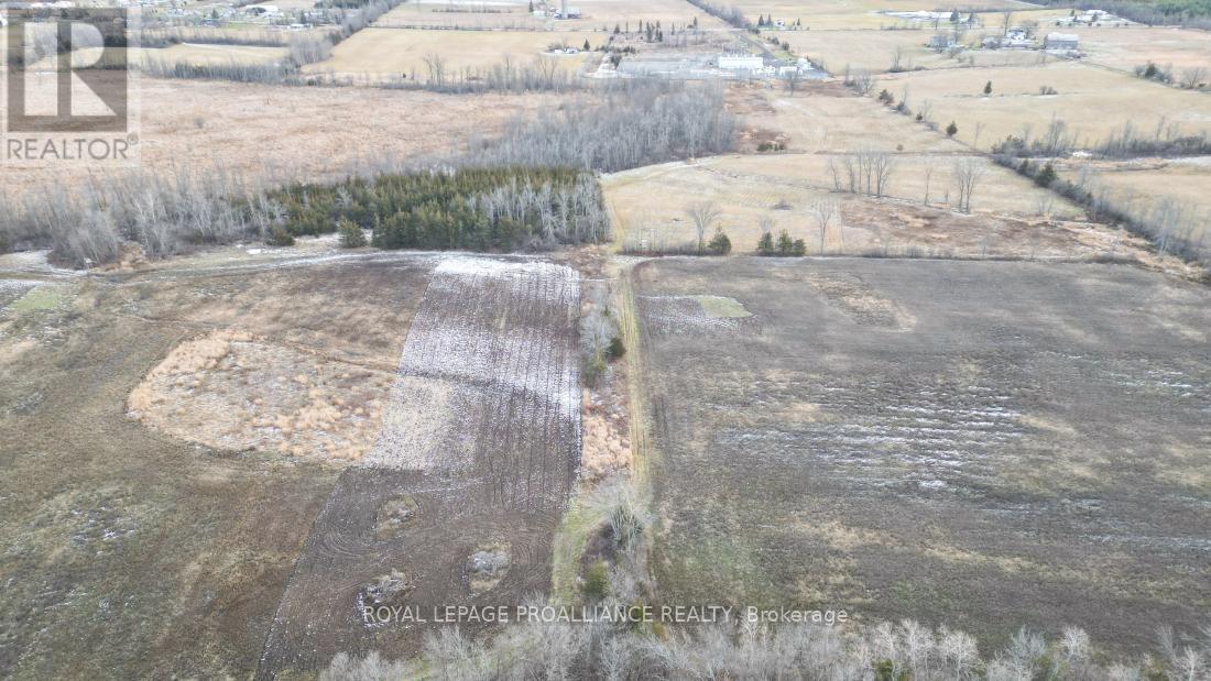 699 Lazier Road, Tyendinaga, Ontario  K0K 3A0 - Photo 17 - X12724782