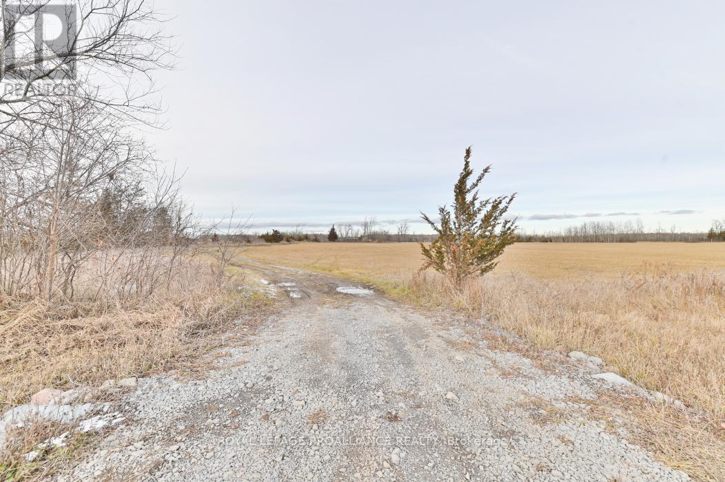 699 Lazier Road, Tyendinaga, Ontario  K0K 3A0 - Photo 5 - X12724782