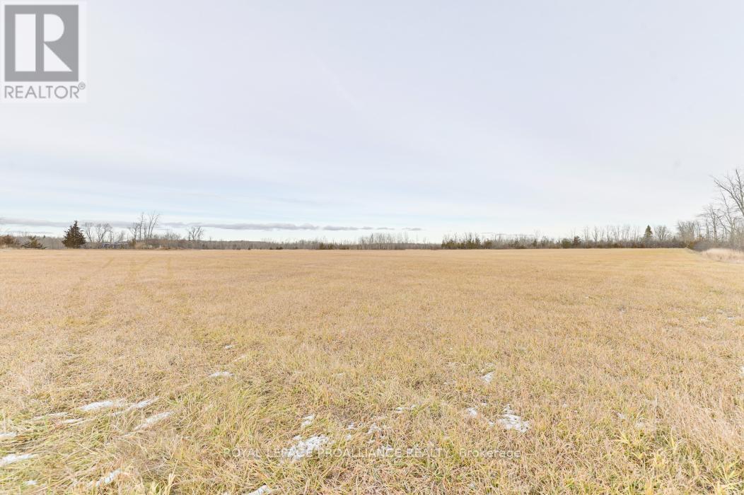 699 Lazier Road, Tyendinaga, Ontario  K0K 3A0 - Photo 6 - X12724782