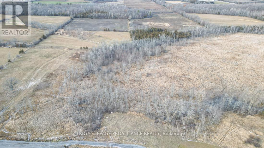 699 Lazier Road, Tyendinaga, Ontario  K0K 3A0 - Photo 8 - X12724782