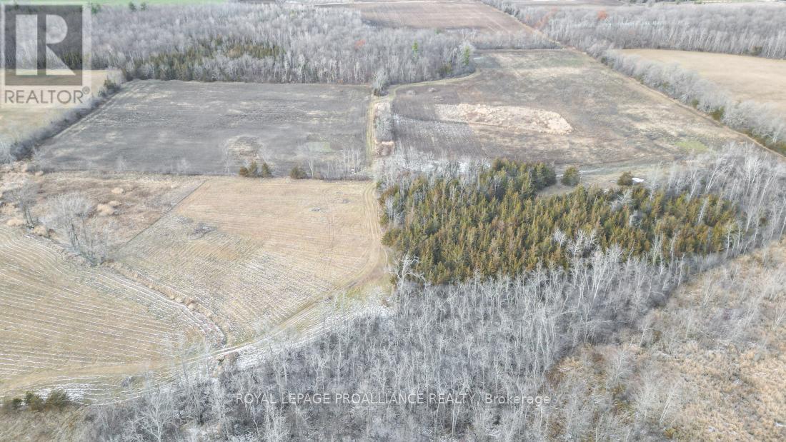 699 Lazier Road, Tyendinaga, Ontario  K0K 3A0 - Photo 9 - X12724782