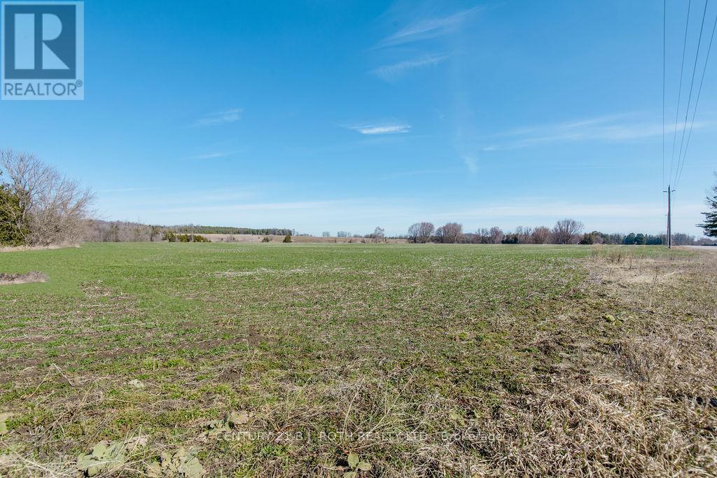 7468 25th Side Road, Adjala-Tosorontio, Ontario  L9R 1V1 - Photo 20 - N12724870