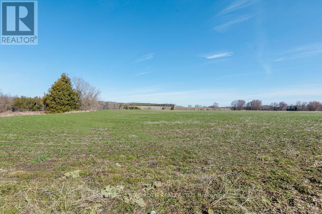 7468 25th Side Road, Adjala-Tosorontio, Ontario  L9R 1V1 - Photo 21 - N12724870