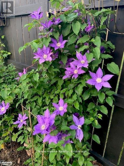 58 Byrnes Crescent, Penetanguishene, Ontario L9M 1V9 - Photo 40 - S12724892