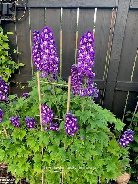 58 Byrnes Crescent, Penetanguishene, Ontario L9M 1V9 - Photo 41 - S12724892