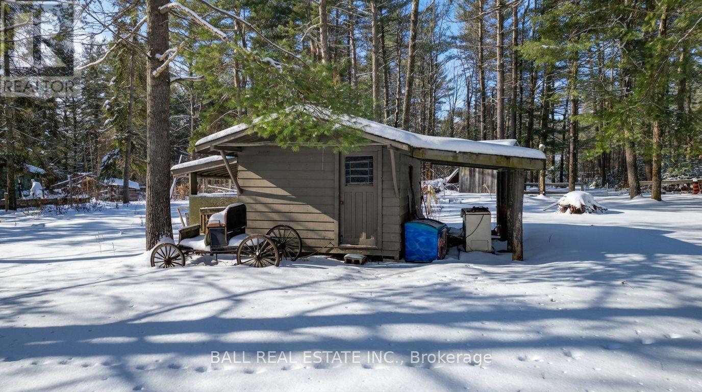 146 Buck Hill Road, Hastings Highlands, Ontario  K0L 1C0 - Photo 10 - X12724894