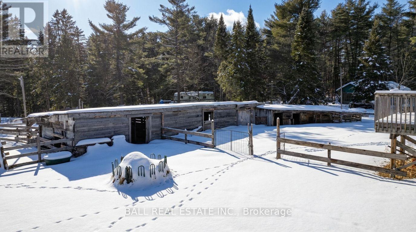 146 Buck Hill Road, Hastings Highlands, Ontario  K0L 1C0 - Photo 11 - X12724894