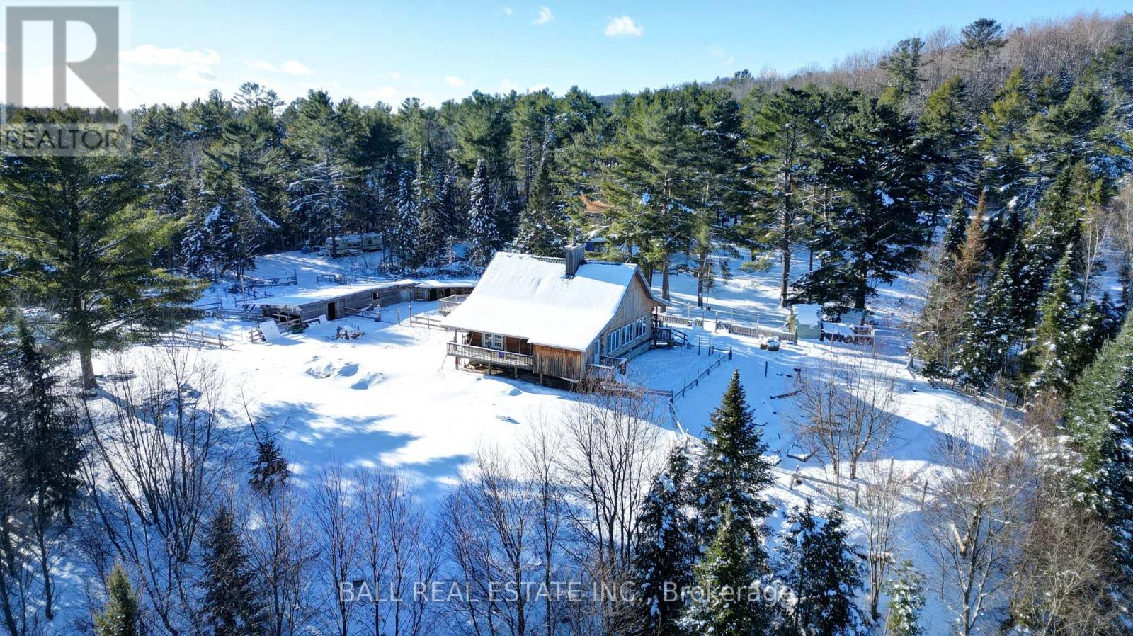 146 Buck Hill Road, Hastings Highlands, Ontario  K0L 1C0 - Photo 15 - X12724894