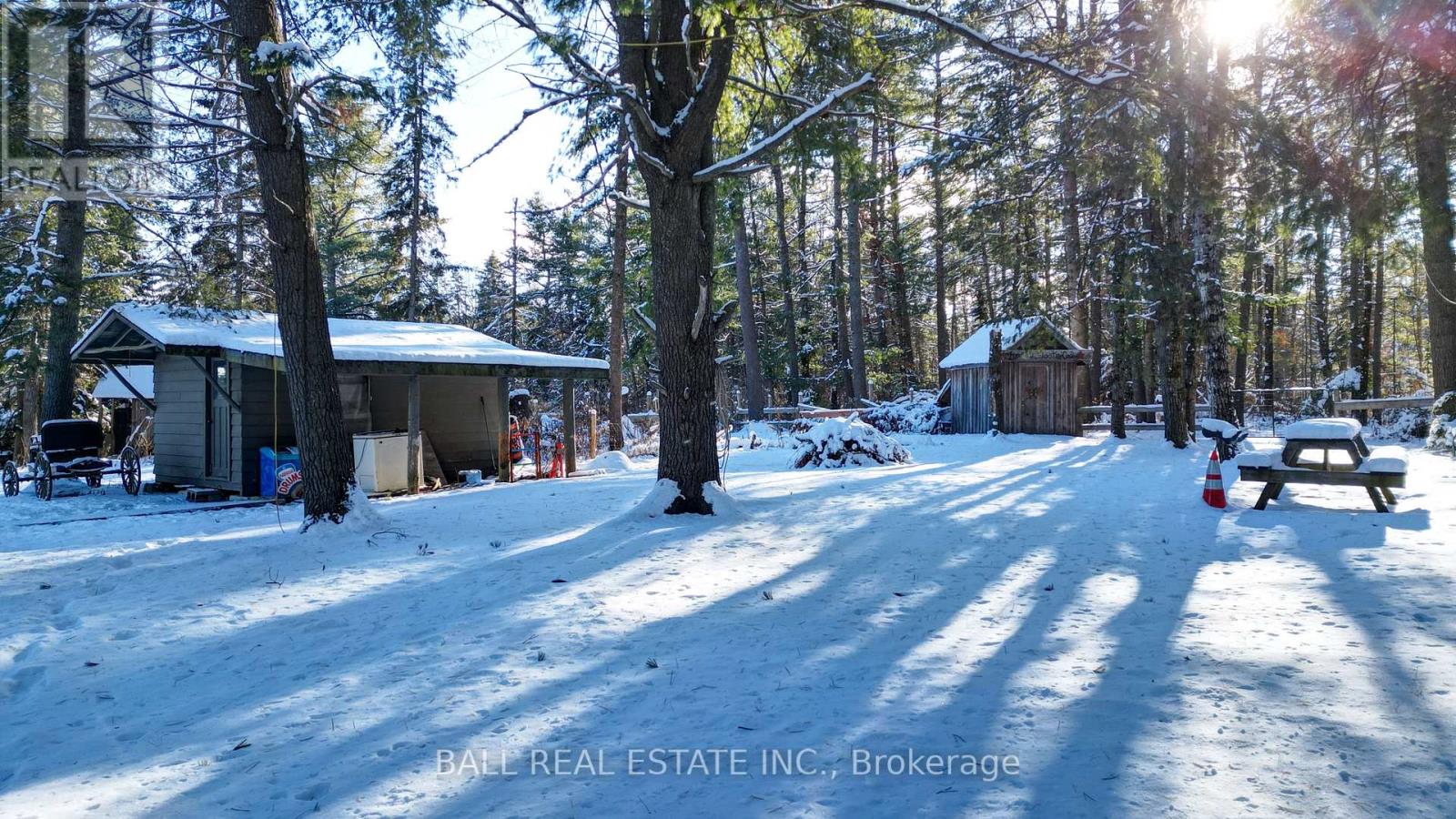 146 Buck Hill Road, Hastings Highlands, Ontario  K0L 1C0 - Photo 20 - X12724894