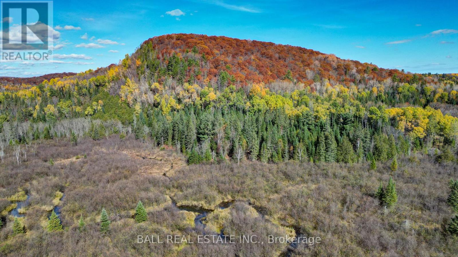 146 Buck Hill Road, Hastings Highlands, Ontario  K0L 1C0 - Photo 24 - X12724894