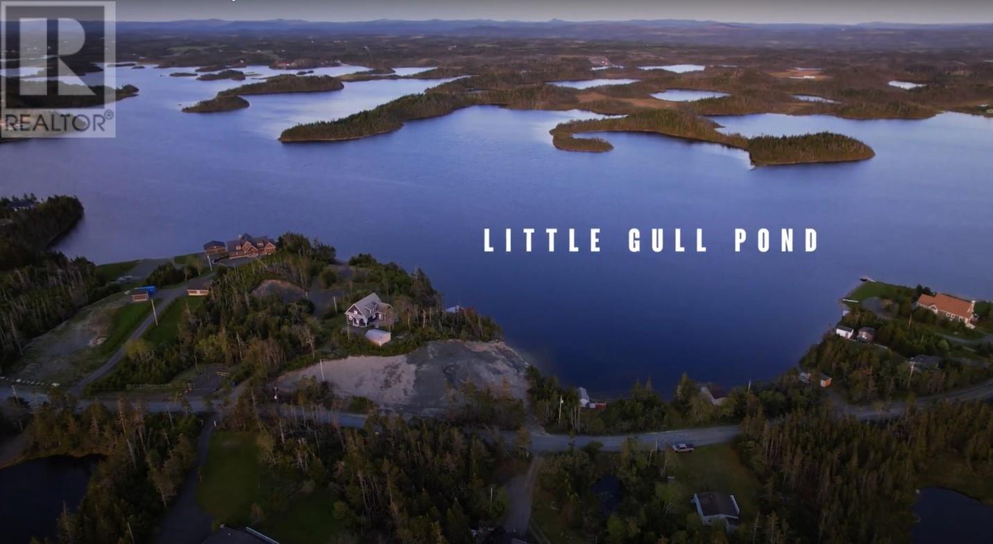 65 Deer Park Road, Salmonier, Newfoundland & Labrador  A0A 2R0 - Photo 4 - 1294046