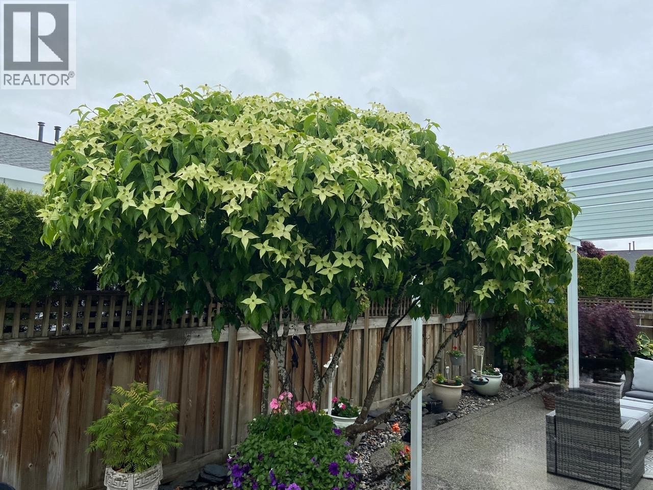 154 19639 Meadow Gardens Way, Pitt Meadows, British Columbia  V3Y 2T5 - Photo 30 - R3082556