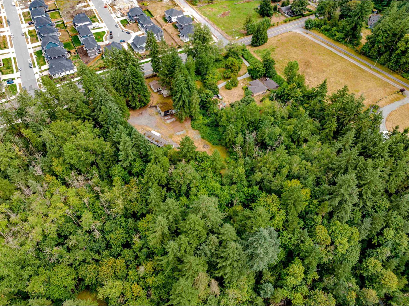 3381 208 Street, Langley, British Columbia  V2Z 2C5 - Photo 3 - R3075432