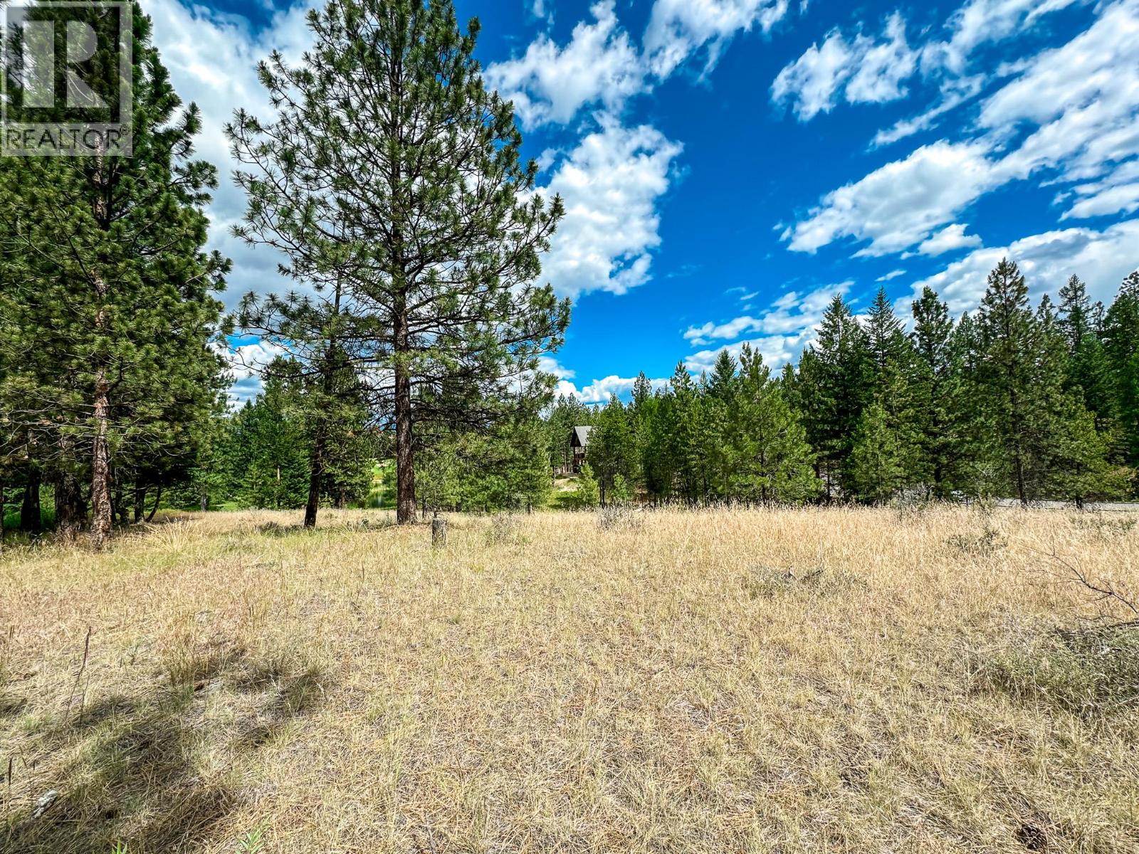 337 Corral Close, Cranbrook, British Columbia V1C 0C2 - Photo 10 - 10373394