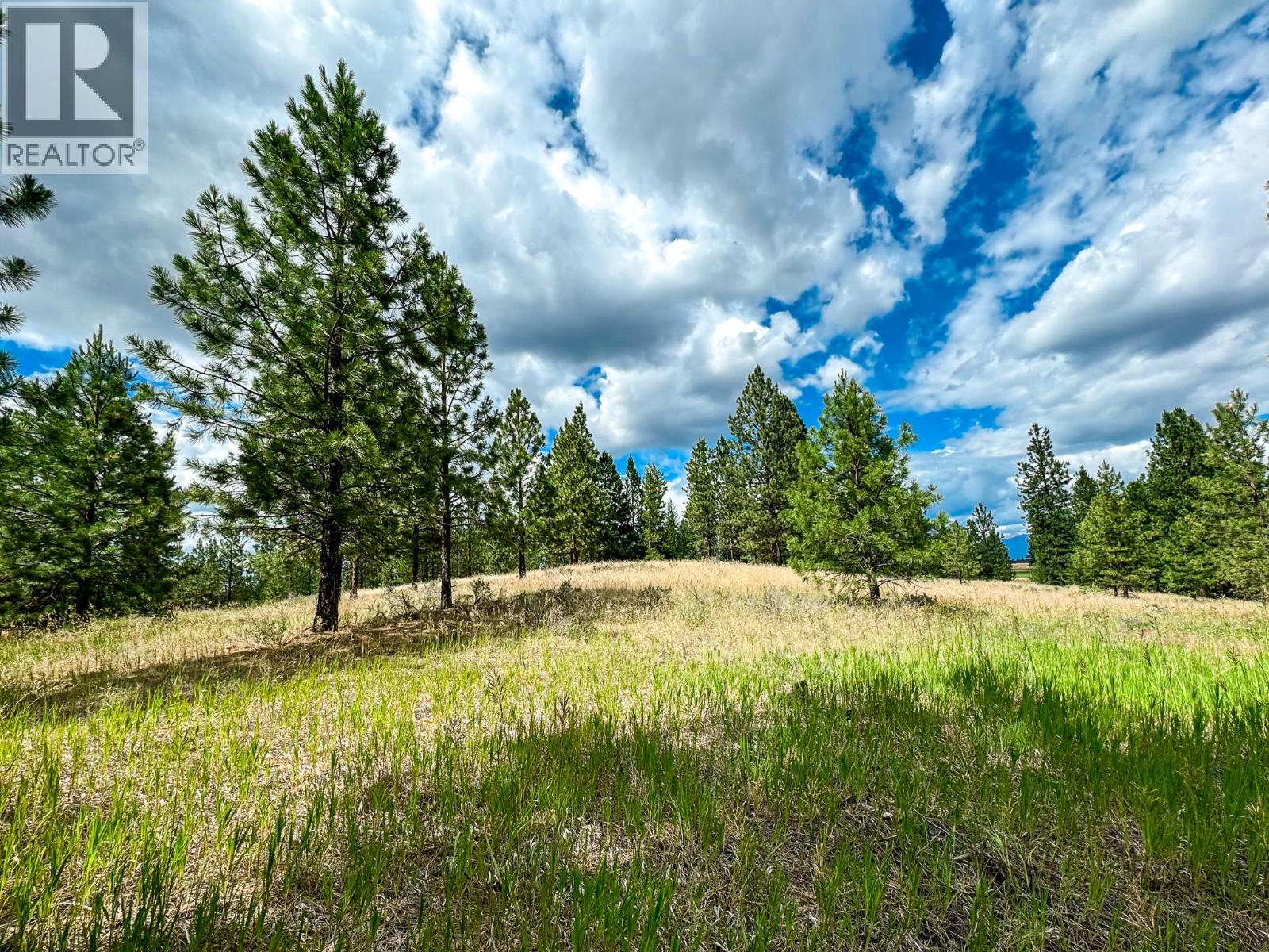 337 Corral Close, Cranbrook, British Columbia V1C 0C2 - Photo 4 - 10373394