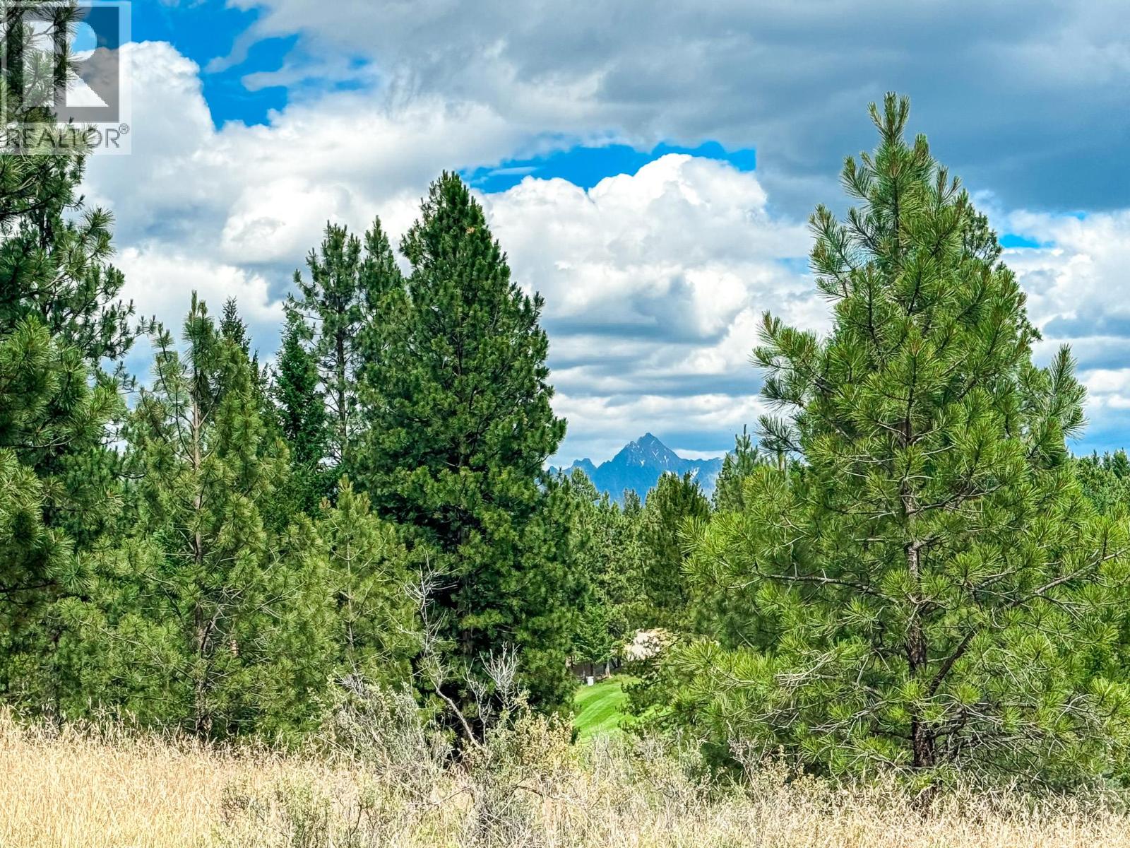 337 Corral Close, Cranbrook, British Columbia V1C 0C2 - Photo 9 - 10373394