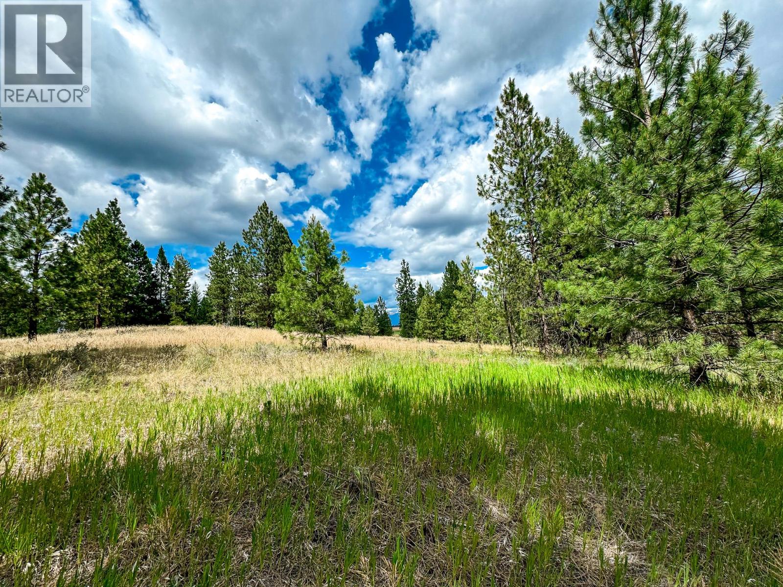 337 Corral Close, Cranbrook, British Columbia V1C 0C2 - Photo 3 - 10373394