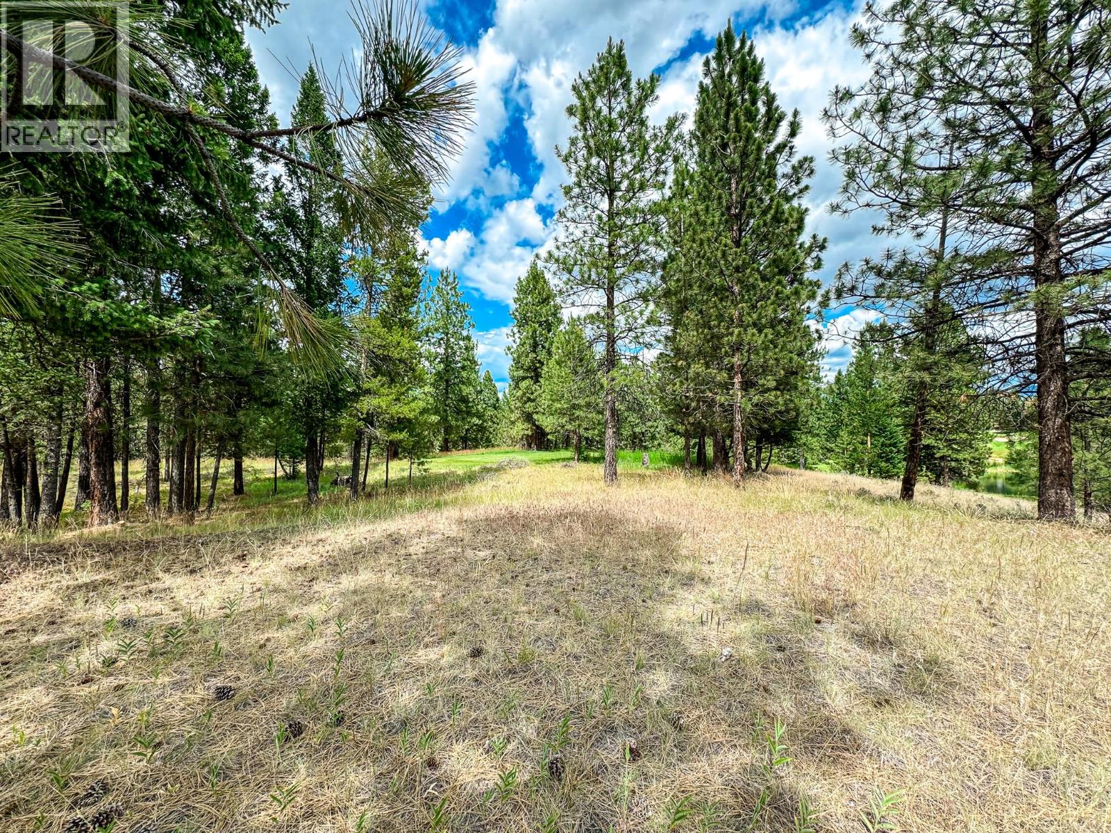 337 Corral Close, Cranbrook, British Columbia V1C 0C2 - Photo 6 - 10373394