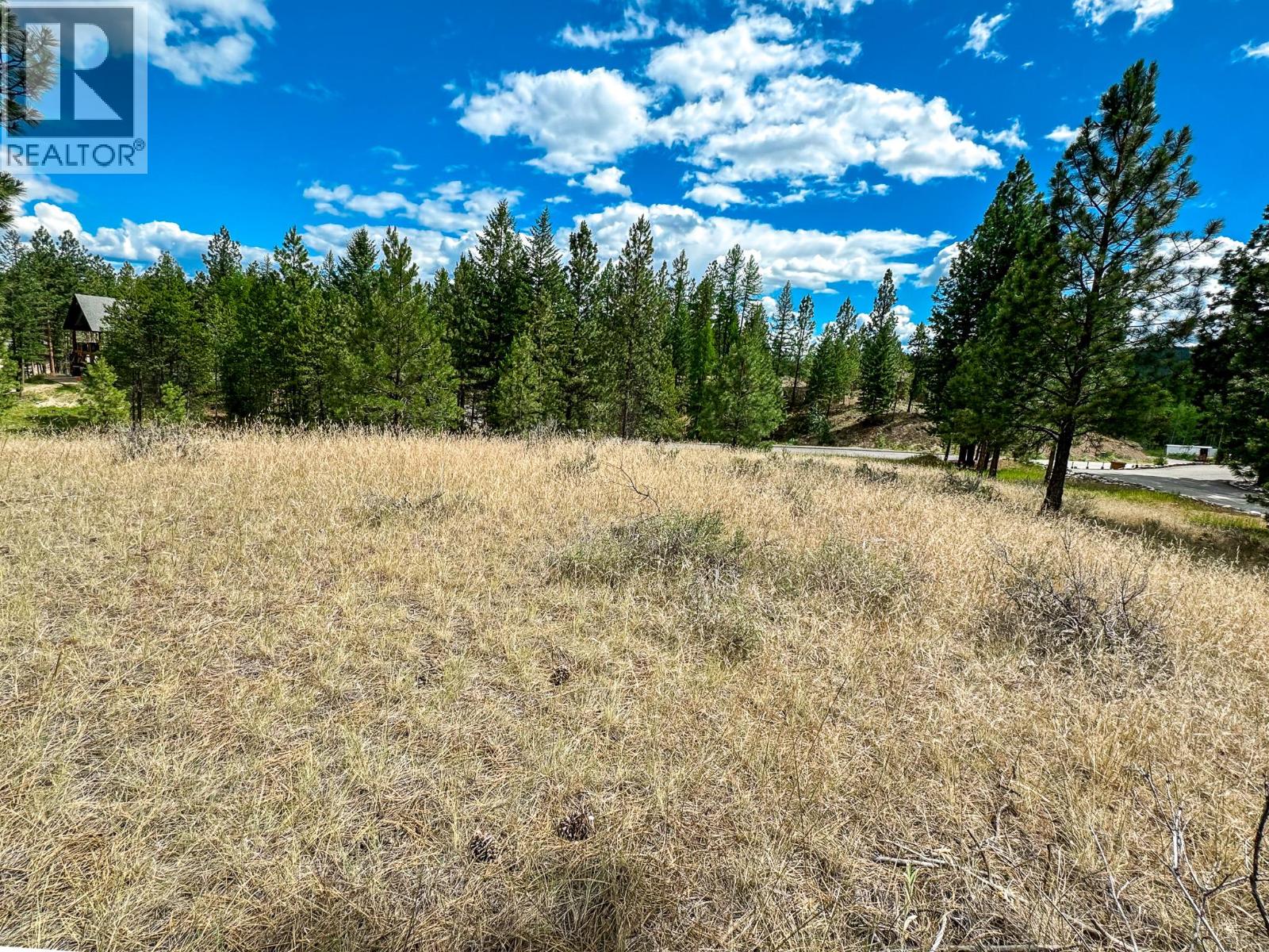 337 Corral Close, Cranbrook, British Columbia V1C 0C2 - Photo 13 - 10373394