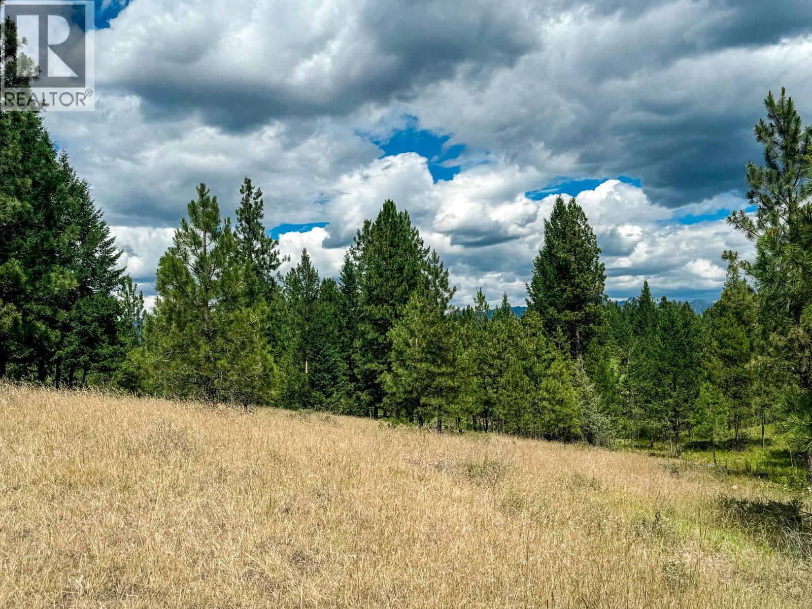 337 Corral Close, Cranbrook, British Columbia V1C 0C2 - Photo 15 - 10373394