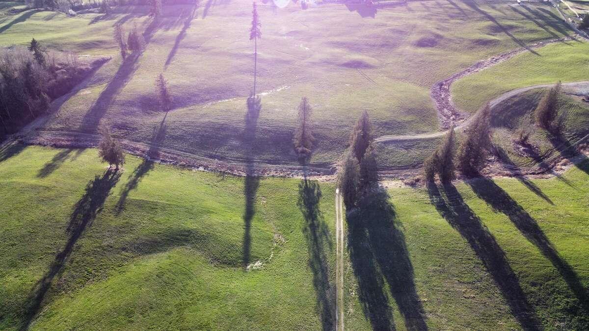 6077 Ross Road, Abbotsford, British Columbia  V4X 1Z1 - Photo 13 - R3082618